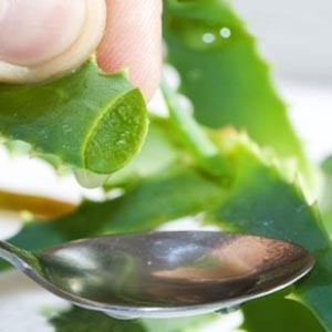 herbs-eczema