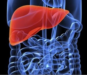 Causes-liver-problems